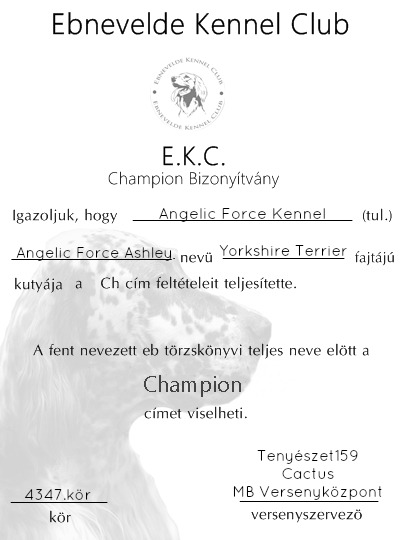 Ch Angelic Force Ashley