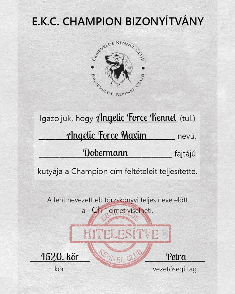Ch Angelic Force Maxim